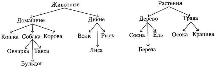 Лекции по общей психологии i_016.jpg