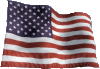 Конституция США flag.png
