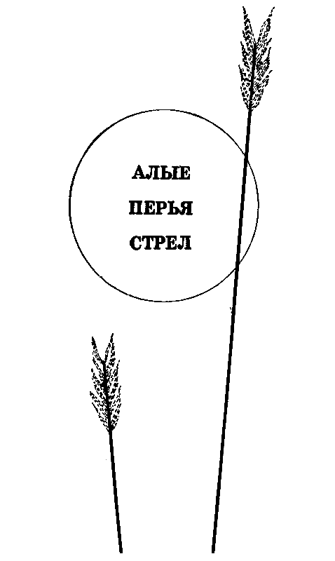 Вершинины, старший и младший pic_3.png