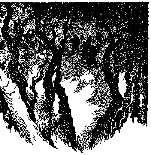 Вершинины, старший и младший pic_9.png