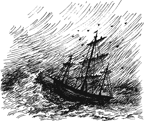Скворцы i_001.png