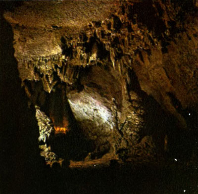 i_006.jpg