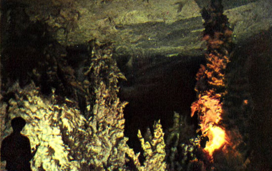 i_059.jpg