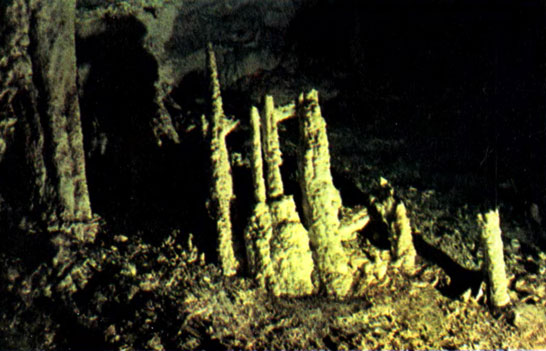 i_060.jpg