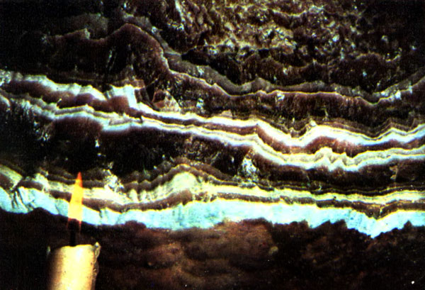 i_067.jpg