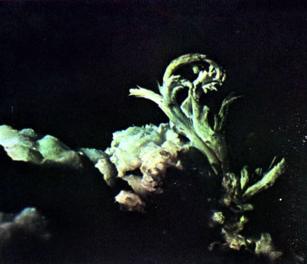 i_068.jpg