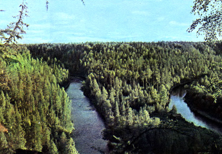 i_079.jpg