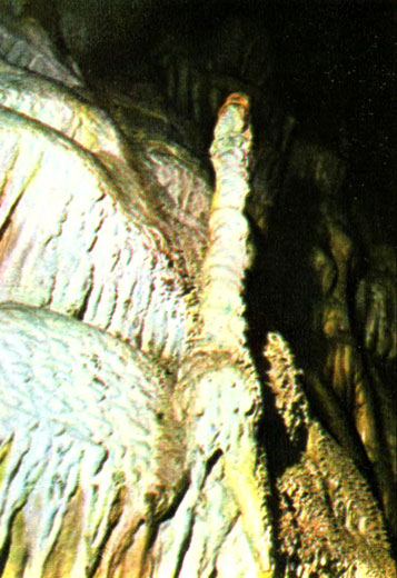 i_010.jpg