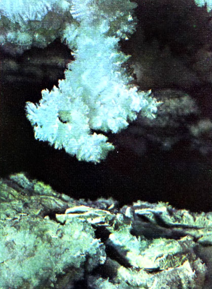 i_085.jpg