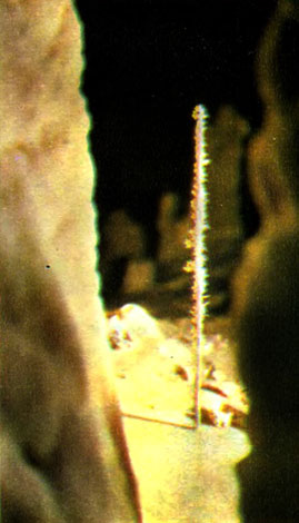i_096.jpg