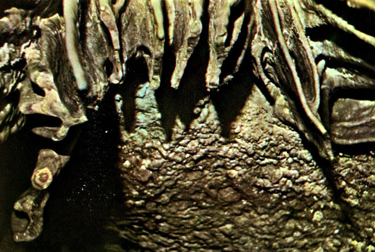 i_104.jpg