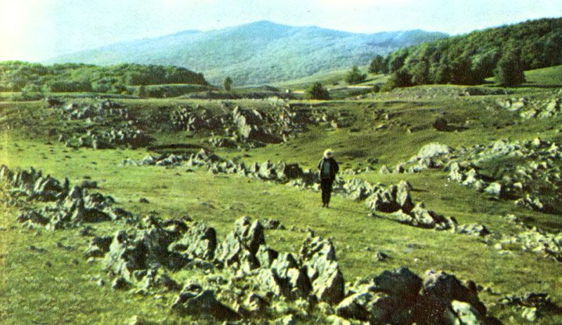 i_021.jpg