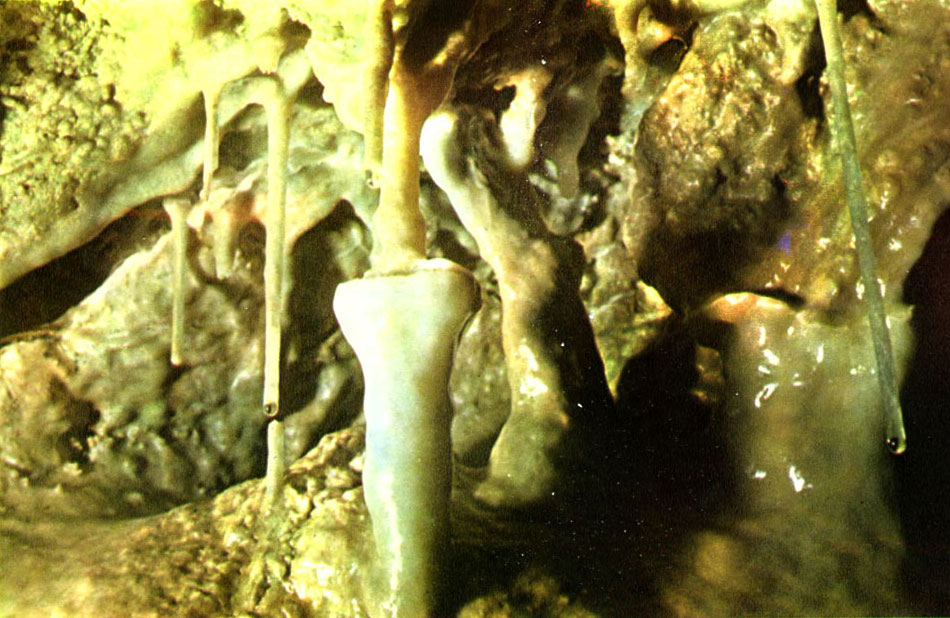 i_036.jpg