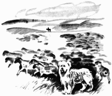 Юный дрессировщик i_017.png