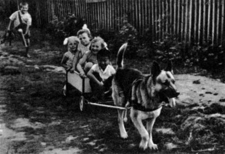 Юный дрессировщик i_018.jpg