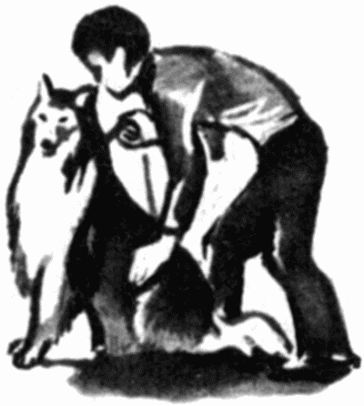 Юный дрессировщик i_023.png