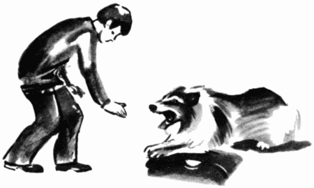 Юный дрессировщик i_034.png