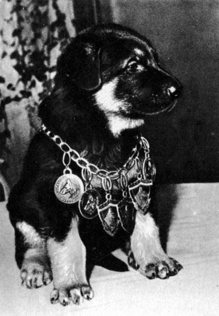 Юный дрессировщик i_005.jpg