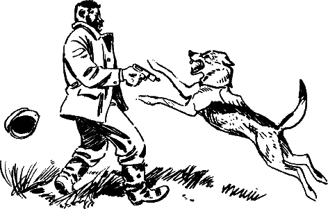 Дунай doc2fb_image_03000001.png