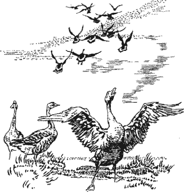 Тихий пост i_005.png