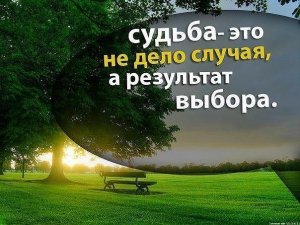 Притча о выборе