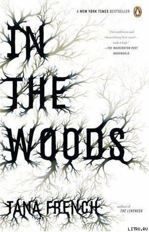 In the Woods pic_1.jpg