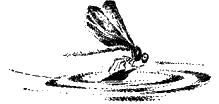 Речка i_004.png