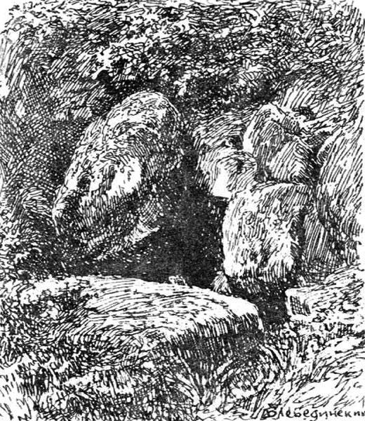 i_011.jpg