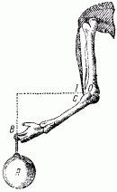 Занимательная физика (книга 1) pic_29.png