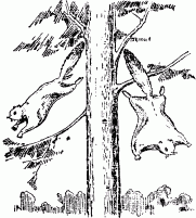 Занимательная физика (книга 1) pic_35.png