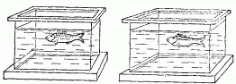 Занимательная физика (книга 1) pic_137.png