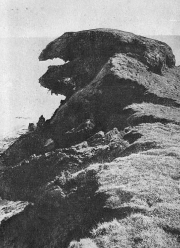i_003.jpg