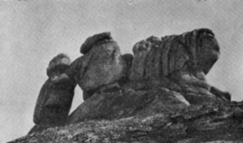 i_021.jpg