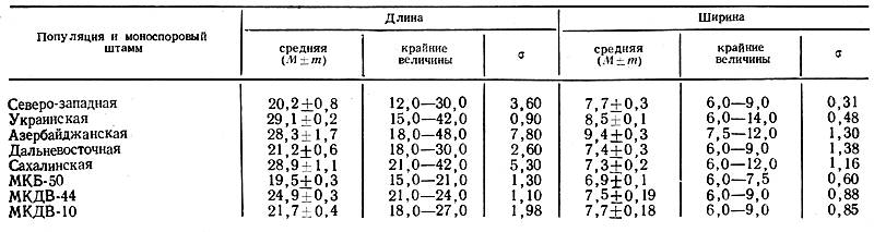 i_010.jpg