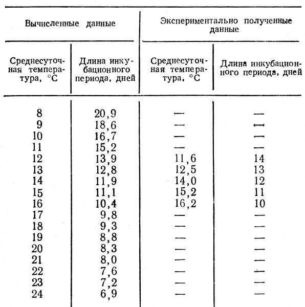 i_006.jpg