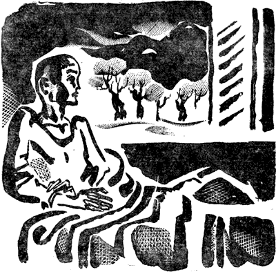 Римлянка. Презрение. Рассказы i_002.png