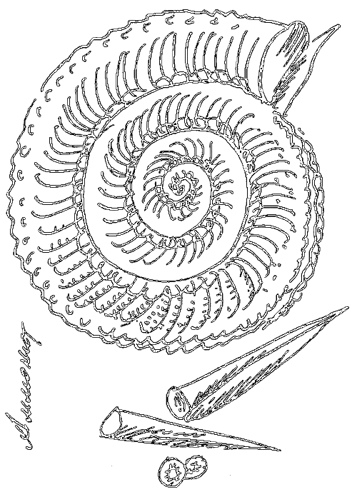 Призрак Томаса Кемпе. Чтоб не распалось время i_045.png