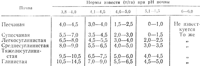 i_013.jpg