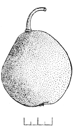 i_008.jpg