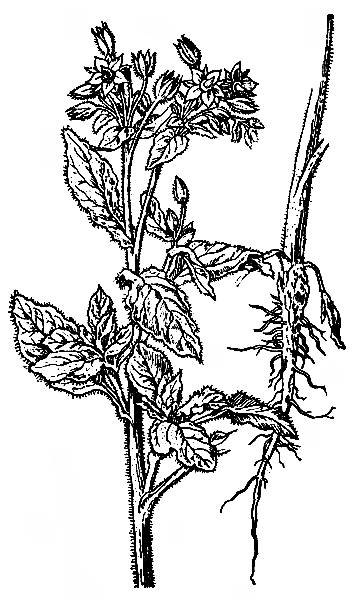 i_004.jpg