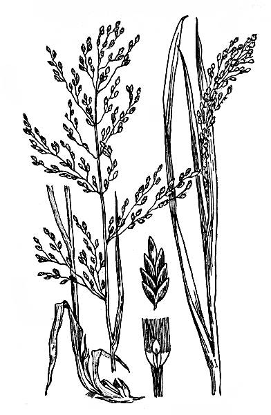 i_005.jpg