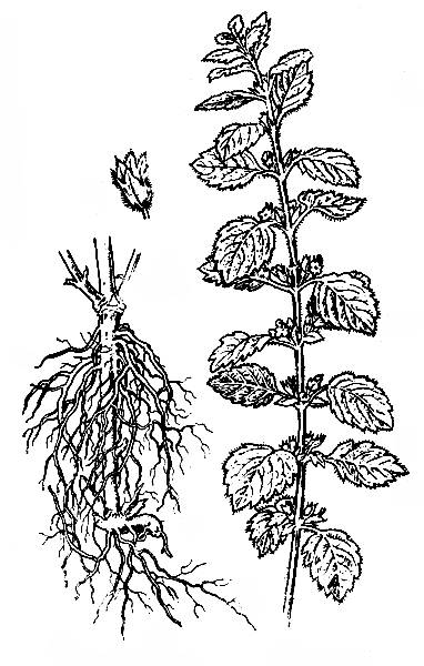 i_008.jpg