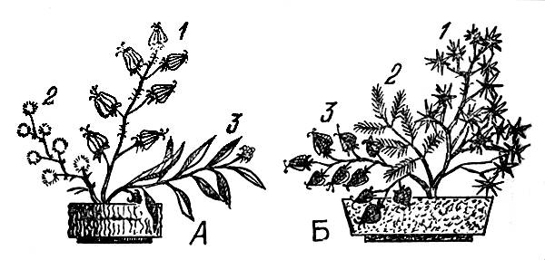 i_012.jpg
