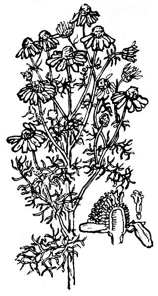 i_015.jpg
