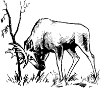 Непослушное дитя биосферы c03p07.png
