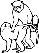 Непослушное дитя биосферы c03p13.png