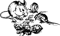 Непослушное дитя биосферы c03p31.png