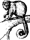 Непослушное дитя биосферы c04p04.png