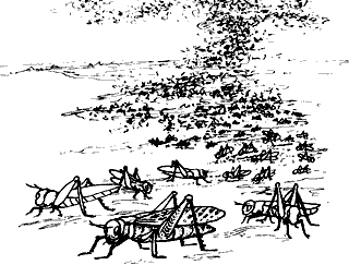 Непослушное дитя биосферы c04p12.png