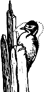 Непослушное дитя биосферы c04p15.png